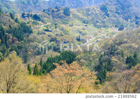 Yamazakura of Luo Town 21989562