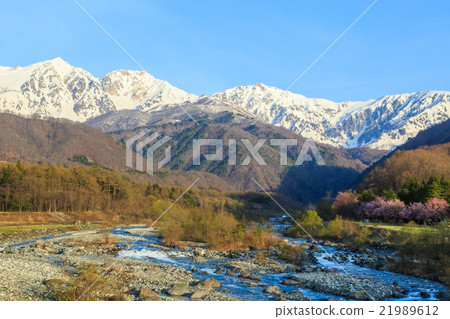 從Hakuba Ohashi 21989612