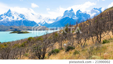 panorama of patagonia panorama of patagonia 21990002