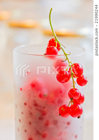 Fresh red currants in glass Fresh red currants in glass 21990244