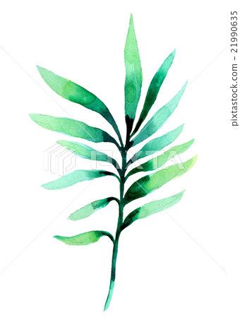 Watercolor illustration of green leav on a white Watercolor illustration of green leav on a white 21990635