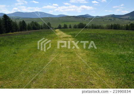 Path to hills Path to hills 21990834