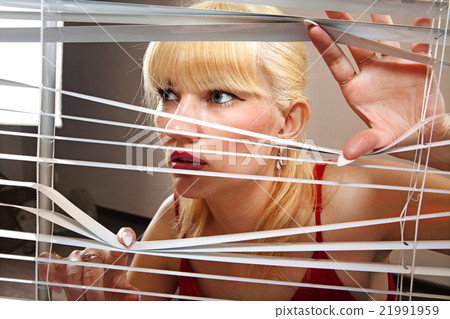 blonde woman observes through blinds blonde woman observes through blinds 21991959