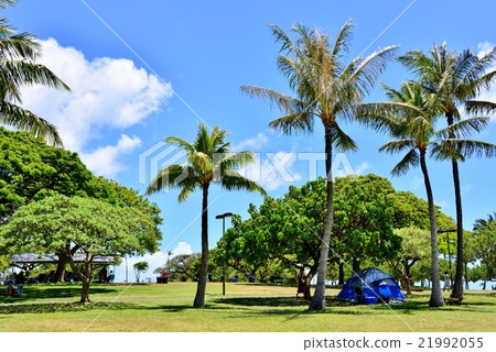 夏威夷的假期 21992055