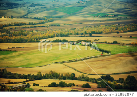 Wavy fields in Tuscany  21992077