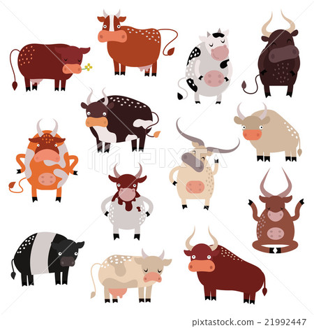 Cartoon cow action set, with cute lovely heifer in Cartoon cow action set, with cute lovely heifer in 21992447