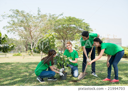 Planting tree 21994703
