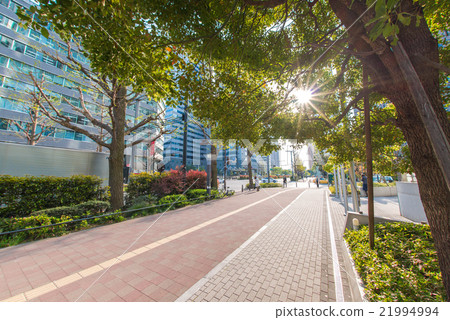 Sidewalk (Nishi-Shinjuku) 21994994