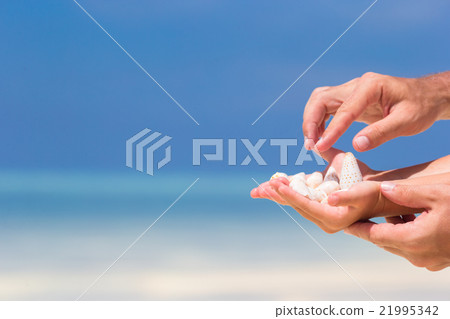 Close up of little girl hand holding beautiful sea Close up of little girl hand holding beautiful sea 21995342