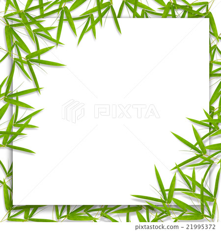 Bamboo leaf and frame background Bamboo leaf and frame background 21995372