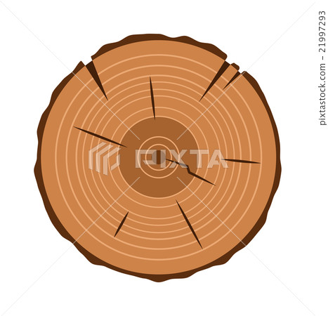 tree trunk cross section, isolated on white tree trunk cross section, isolated on white 21997293