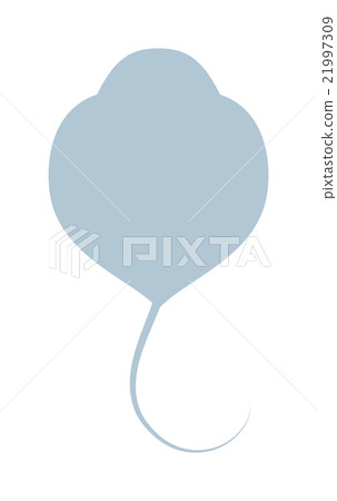 Cartoon drawing of fish ramp underwater wildlife Cartoon drawing of fish ramp underwater wildlife 21997309