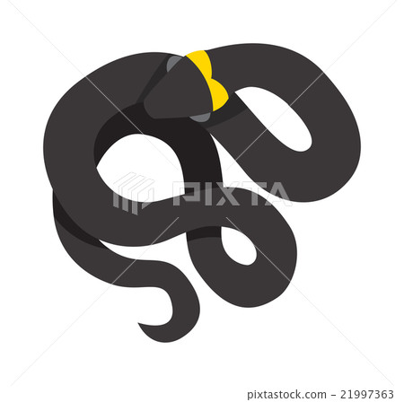 Black mamba uncoiled reptile ready to strike snake 21997363