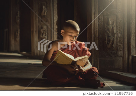 Novice reading book with lighting 21997736