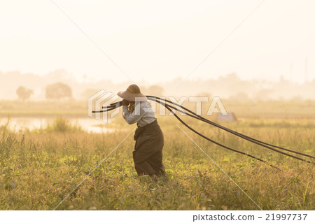 Farmer sunset 21997737