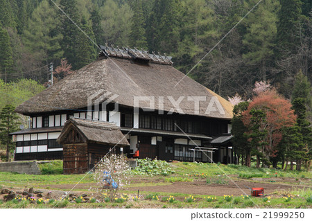 春天在山村里 春天在山村里 21999250
