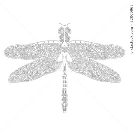 Hand drawn dragonfly on white background 22000965