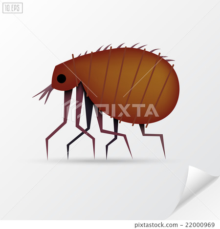 Cartoon brown insect flea in material style. 22000969