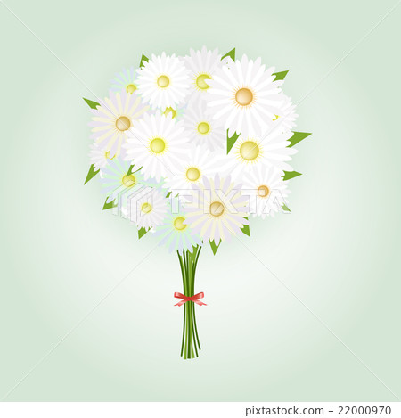 Chamomile Flower or White Daisy Daisy Bouquet 22000970