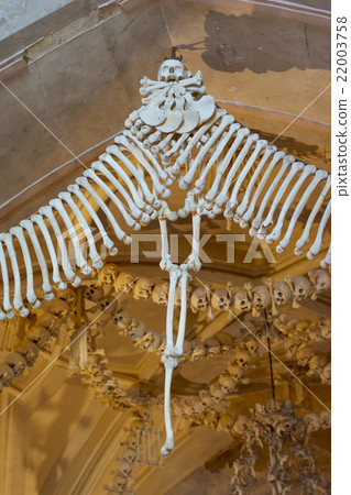 Ossuary in Sedlec Kostnice, Kutna Hora, Czech Ossuary in Sedlec Kostnice, Kutna Hora, Czech 22003758