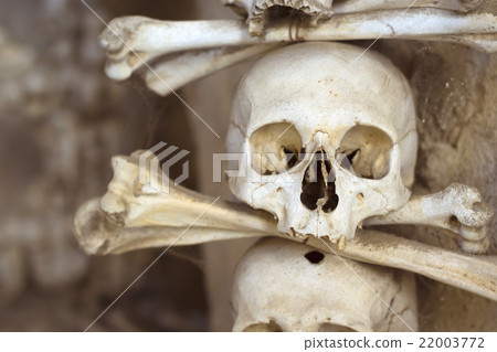 Ossuary in Sedlec Kostnice, Kutna Hora, Czech Ossuary in Sedlec Kostnice, Kutna Hora, Czech 22003772