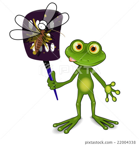 Frog and mosquito 22004338