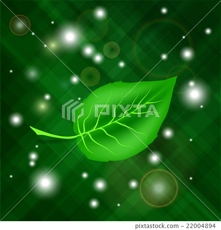 Spring Green Leaf 22004894