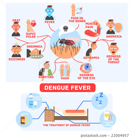 Dengue Fever Infographics 22004957