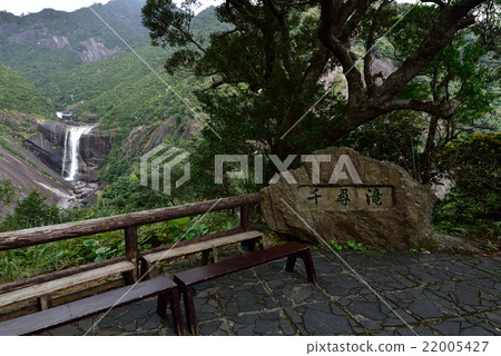 Yakushima Chiaki Waterfall 22005427