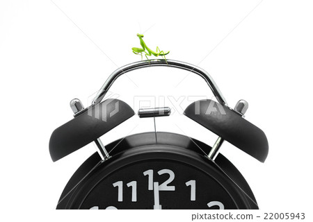 Mantis on Black clock Mantis on Black clock 22005943