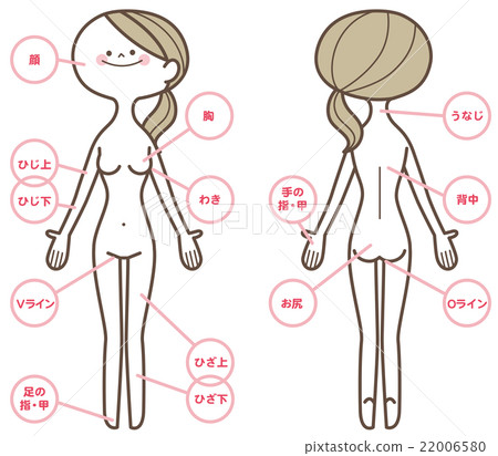 Female whole body beauty 22006580