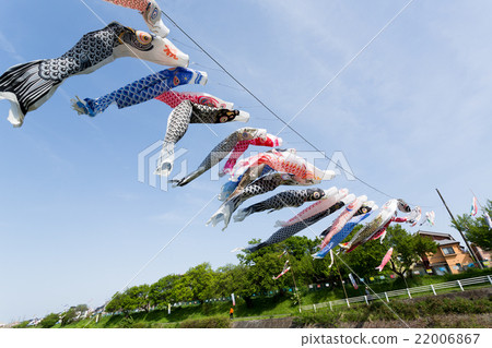 Carp streamer Carp streamer 22006867