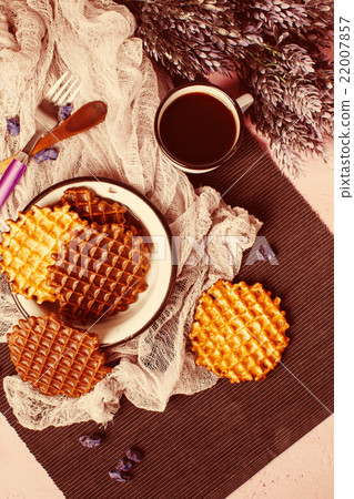 Waffles with Chocolate Icing with Coffee 22007857