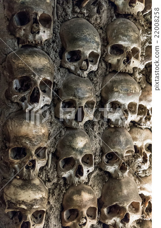 Wall full of skulls and bones 22008258