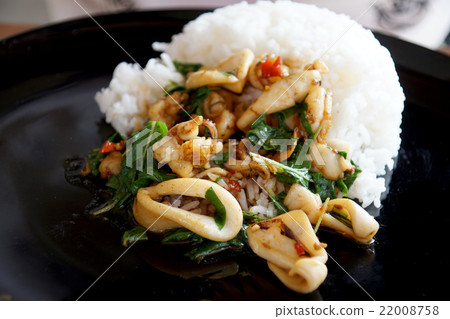 Rice topped with spicy fried squid,basil Thai food Rice topped with spicy fried squid,basil Thai food 22008758