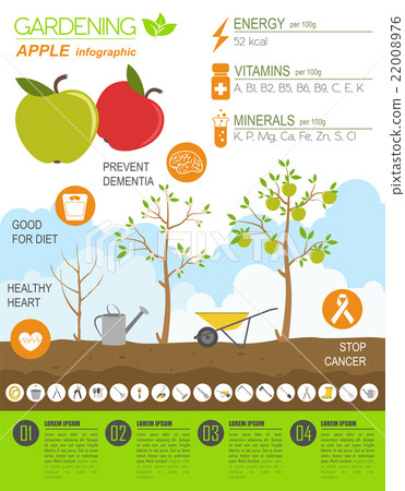 Apple. Graphic template. Fl 22008976