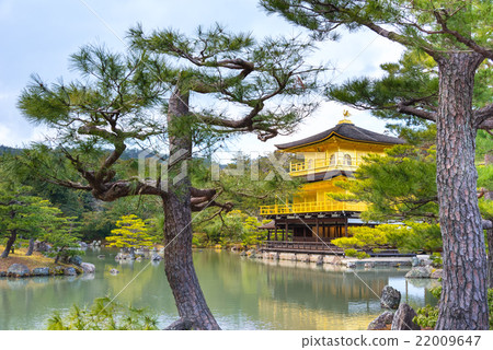 Golden Pavilion ( Kinkakuji ) 22009647