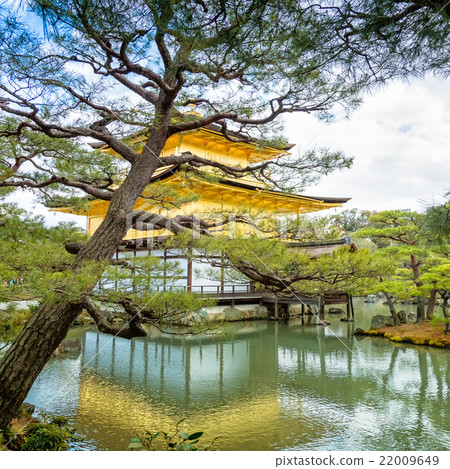 Golden Pavilion ( Kinkakuji ) 22009649