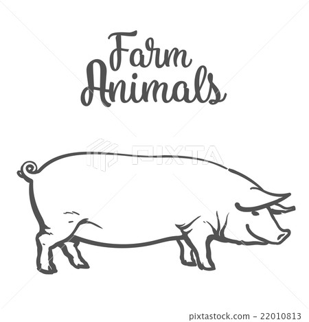 Vector illustration of pig in graphic style 22010813