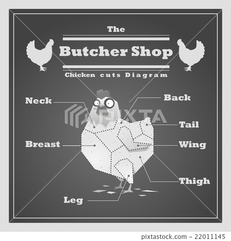 Chicken cuts diagram Butcher shop background Chicken cuts diagram Butcher shop background 22011145