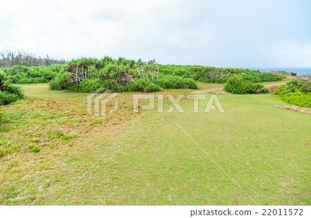 Manza hair's scenery Okinawa Prefecture Kunigami-gun Onna village 22011572