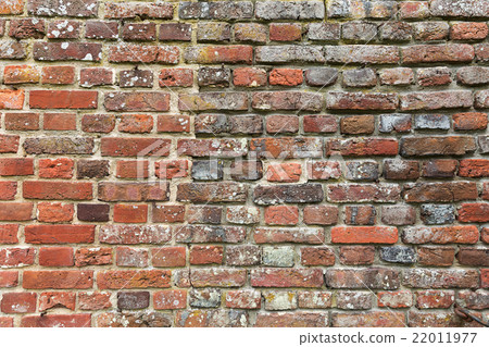 Brick wall background for design works 22011977