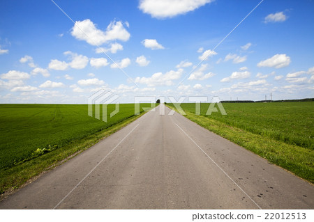 road in a field road in a field 22012513