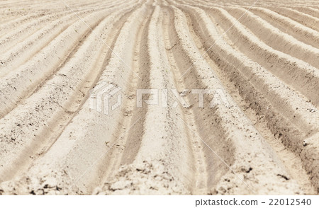 plowed agricultural land plowed agricultural land 22012540