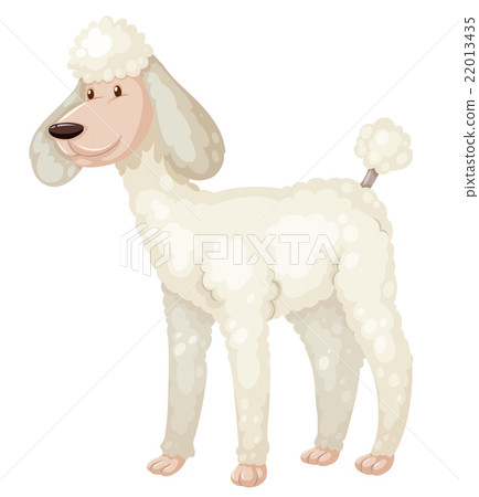 nu_vocab_P201 22013435