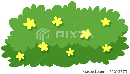 gf_allergies_03 22013775
