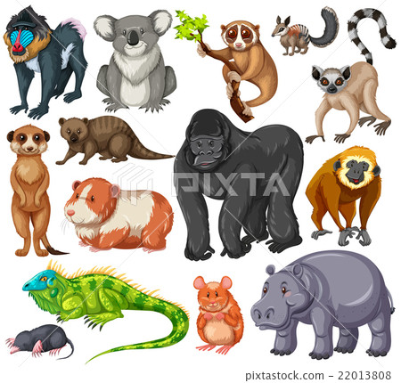 nu_vocab_P207 nu_vocab_P207 22013808