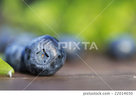 Fresh ripe blueberries outdoors Fresh ripe blueberries outdoors 22014030