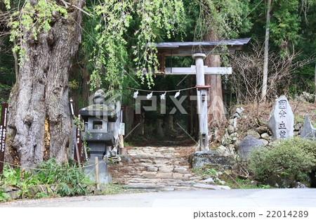 Kosuge神社鳥居 Kosuge神社鳥居 22014289