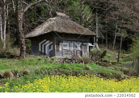 A thief house 22014502